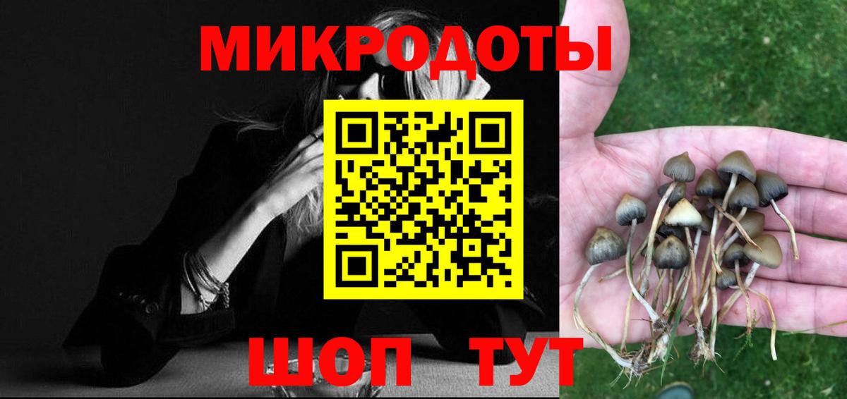 Галлюциногенные грибы Cubensis Конаково