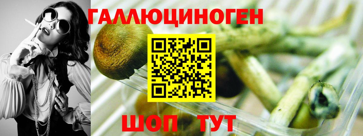 Галлюциногенные грибы Psilocybine cubensis  Вход с VPN  Конаково 